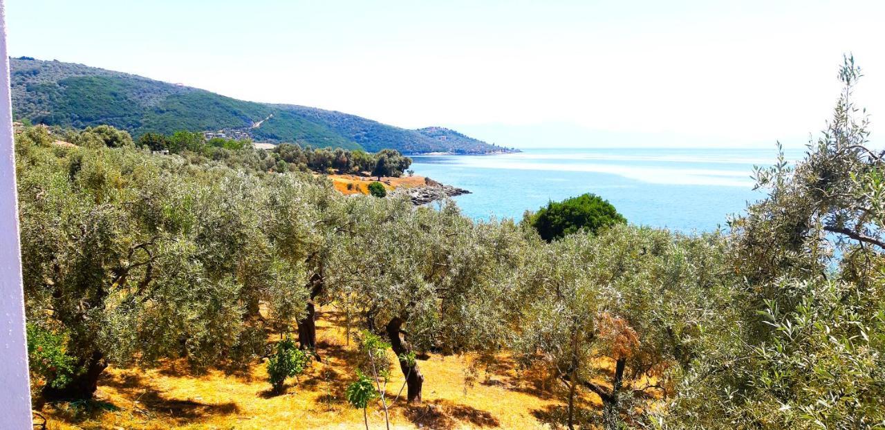 Villa Leonidas Greecefiloxenia Lefokastro Dış mekan fotoğraf