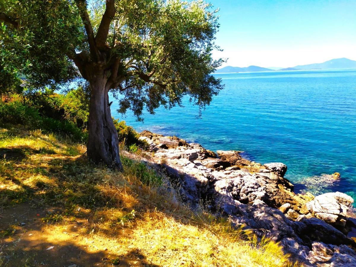 Villa Leonidas Greecefiloxenia Lefokastro Dış mekan fotoğraf