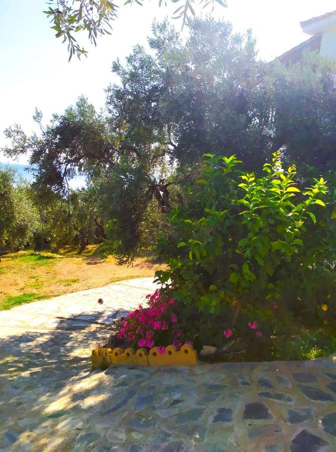 Villa Leonidas Greecefiloxenia Lefokastro Dış mekan fotoğraf